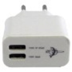 ADAPTADOR 110V PARA IPAD E SAMSUNG (V2-P4)